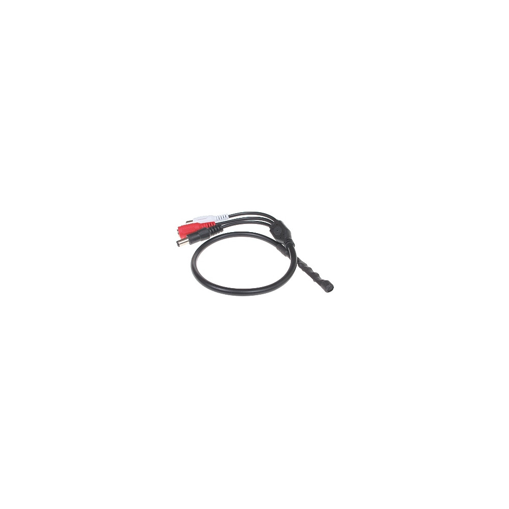 Moduł Fonii Sm-1/Dcplug
