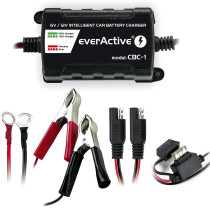Ładowarka prostownik do akumulatorów 6v/12v everactive 14v/1a cbc-1