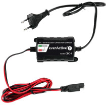 Ładowarka prostownik do akumulatorów 6v/12v everactive 14v/1a cbc-1